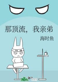 顶流他弟弟去参加选秀