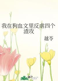 香克斯打斗视频