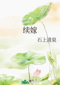 续嫁 石上清泉最新章节