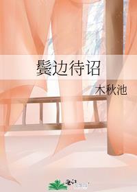 鬓边解释