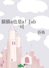 猫咪abo