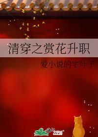 清穿之知画全文免费阅读