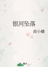 银河坠落讲的什么