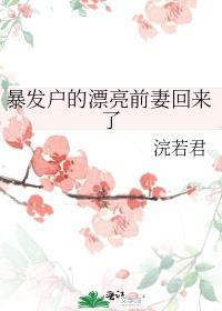 暴发户的前妻免费