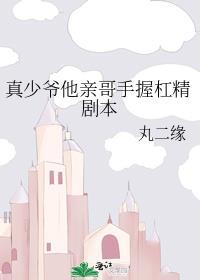 真少爷他亲哥手握杠精剧本作者丸二缘
