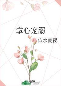 掌心宠溺新免费阅读
