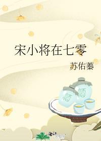 宋小将在七零在线阅读