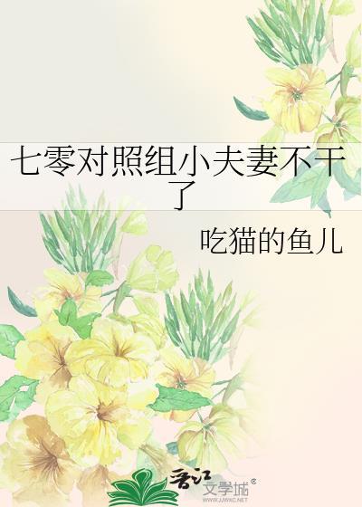 七零对照组小夫妻不干了日常