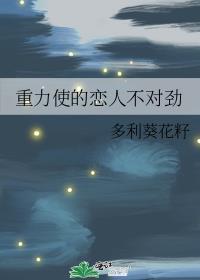 重力使被加载剧本后
