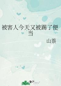 被害人今天又被踢了便当txt