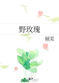 野玫瑰蜂蜜的功效与作用