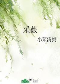 岁亦莫止