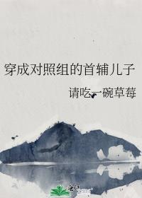 穿成对照组的首辅儿子TXT