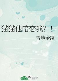 猫喜欢你表现