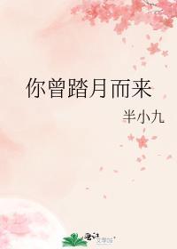 我曾踏月而来的答案是什么