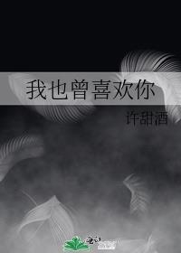 我也曾喜欢过你英文