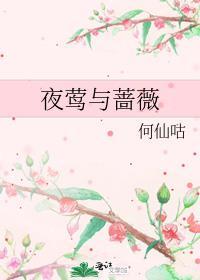 夜莺和夜莺与玫瑰有什么区别