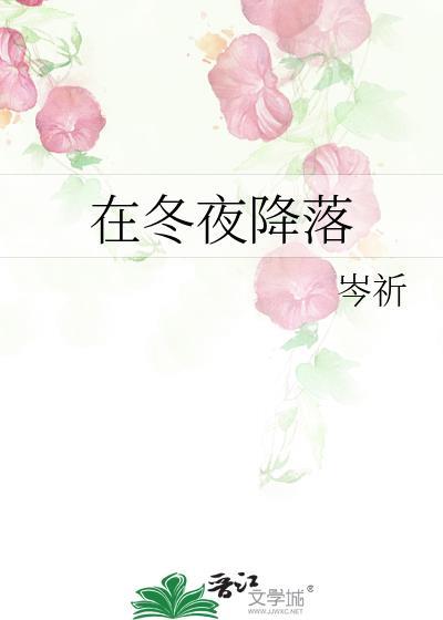 在冬夜降落txt附带番外