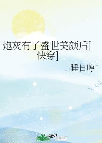 炮灰有盛世美颜破解版完结金手指