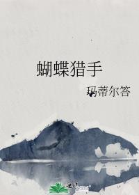 蝴蝶枪怎么样?