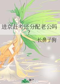 进京赶考还分配老公吗?番外