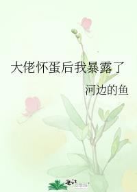 我怀了大佬的孩子