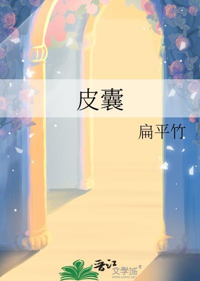 皮囊的囊是什么意思