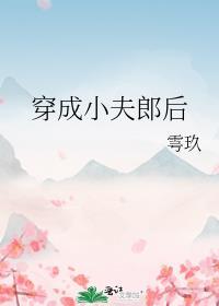 穿成小夫郎后by雩玖讲的什么