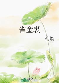 雀金裘是谁送给谁的