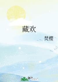 藏欢二恰