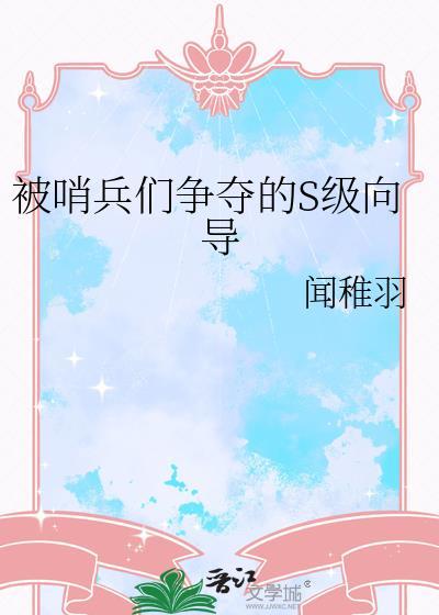 哨兵向导 推荐