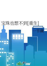 宝珠txt
