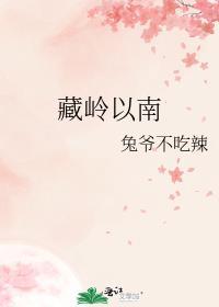 藏南的地理位置