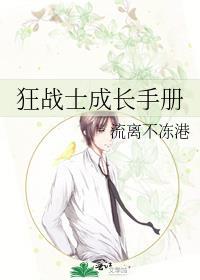 海边来晤免费阅读