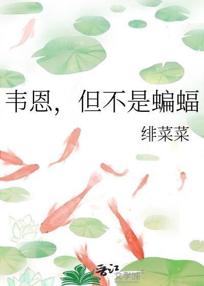 美剧韦恩是不是蝙蝠侠