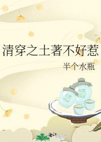清穿之二