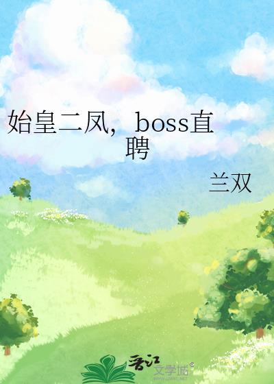 boss直聘 兰双