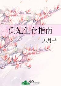 侧妃生存指南全文阅读