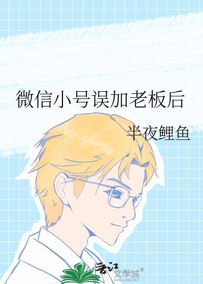 微信小号误加老板后txt