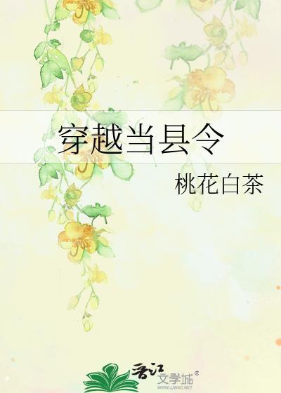 穿越当县令完整版