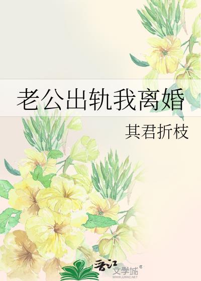老公出轨我离婚与君初相识