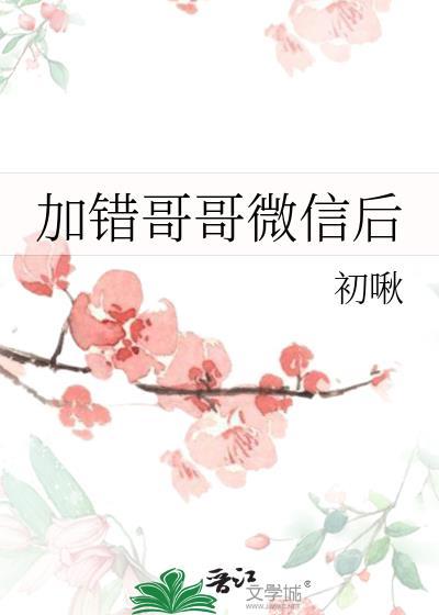 加错哥哥微信后TXT