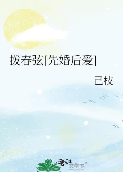 拨弦的东西叫什么