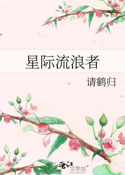 流浪者的星际冒险指南