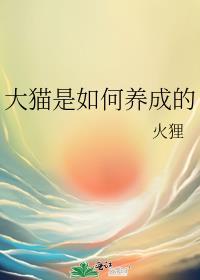 大猫是如何养成的 火狸免费