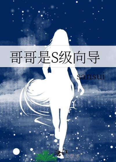 哥哥是S级向导类别武侠仙侠作者 sansui