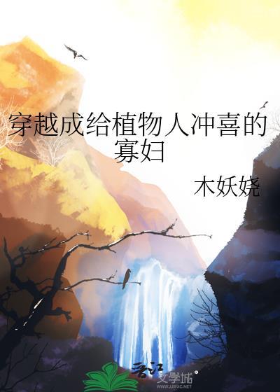 穿越成给植物人冲喜的寡妇全集