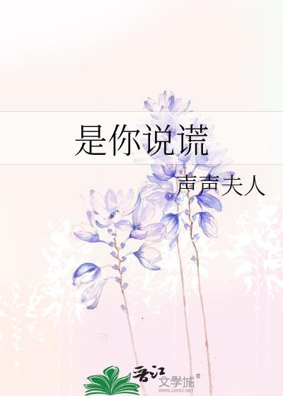 你说我是你的谎话