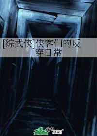 综武侠侠客们的反穿日常TXT