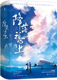 降落我心上简介
